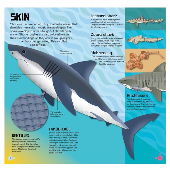 Make and Move: Shark by Jen Green, Book and puzzle - Picture 8 of 10